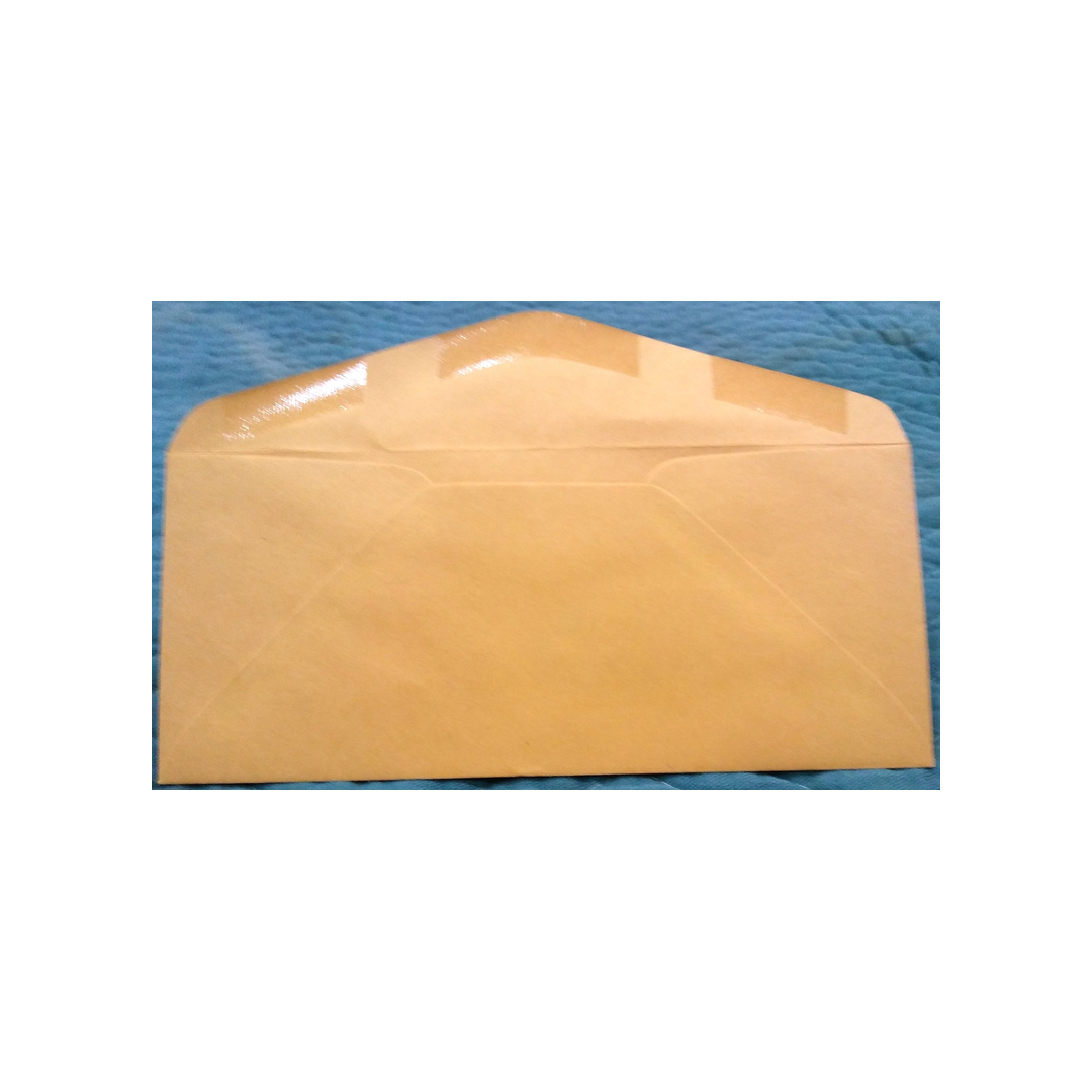 BROWN SINGLE WINDOW ENVELOPES - 25 COUNT