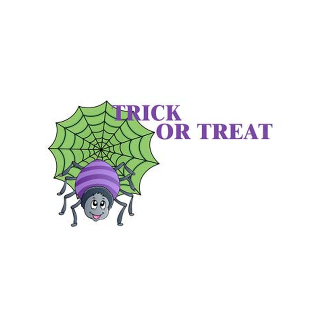 CUTE SPIDER AND WEB PERSONALIZED GIFT OR CALLING CARDS