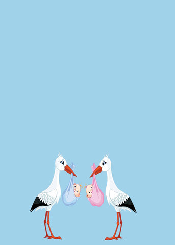 TWIN STORKS CUSTOM INVITATION