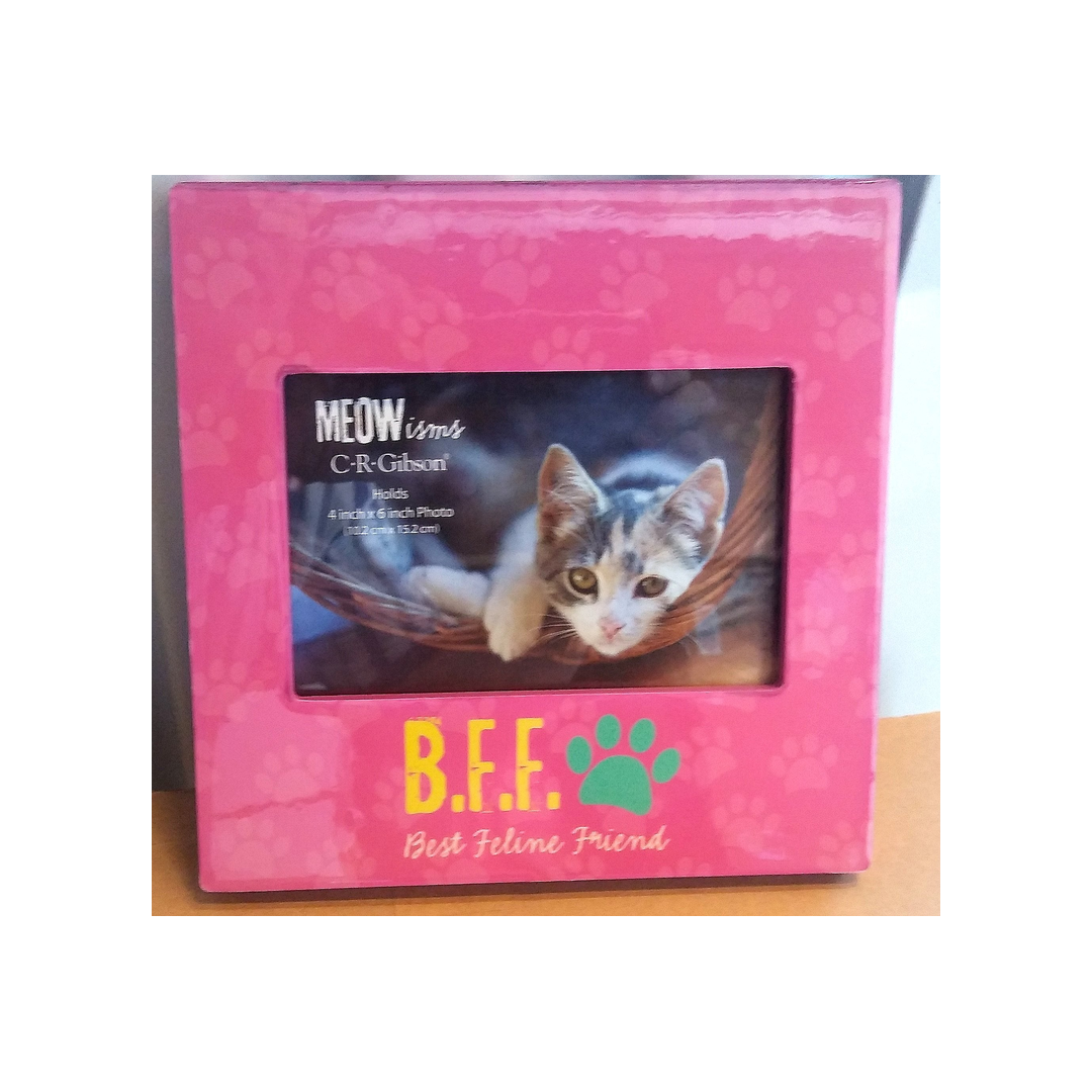 BEST FELINE FRIEND FRAME