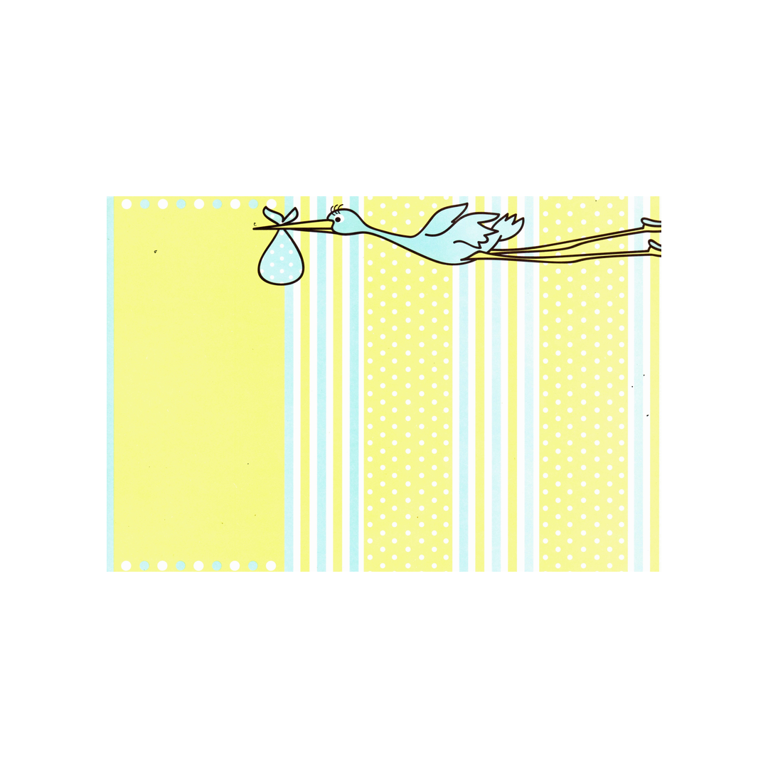 BLUE STORK - BLANK INVITATION