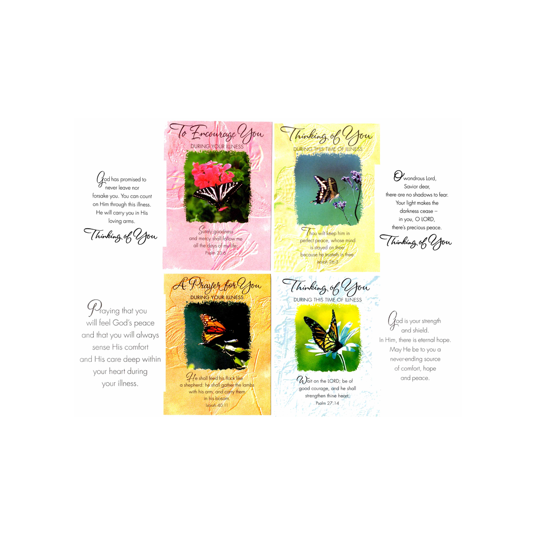 BOXED EVERY DAY GREETING CARDS