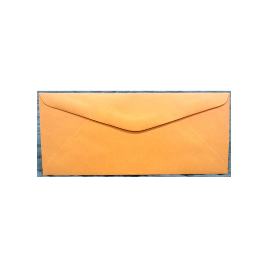 BROWN SINGLE WINDOW ENVELOPES - 25 COUNT