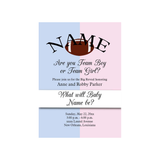 GENDER REVEAL PINK AND BLUE SPORTS BALLS CUSTOM INVITATION