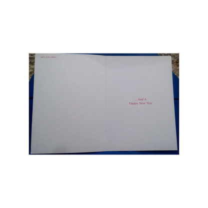 IGUANA WISH YOU A MERRY CHRISTMAS BOXED GREETING CARDS