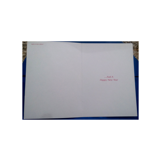 IGUANA WISH YOU A MERRY CHRISTMAS BOXED GREETING CARDS
