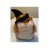 LIL WITCH HAMSTER