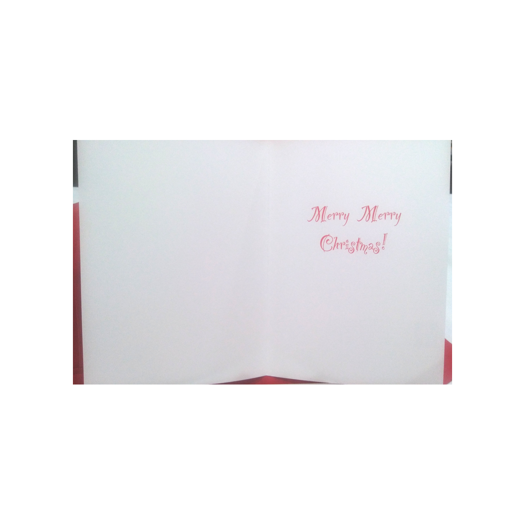 SANTA FACE COURAGE BOXED GREETING CARDS