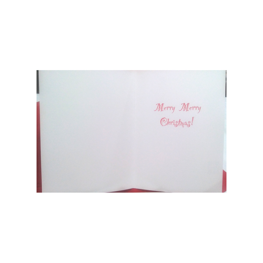 SANTA FACE COURAGE BOXED GREETING CARDS