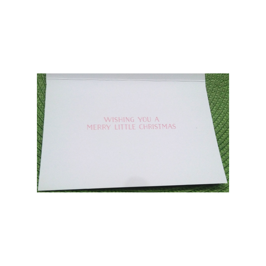 SANTA IN SLEIGH BOXED GREETING CARDS