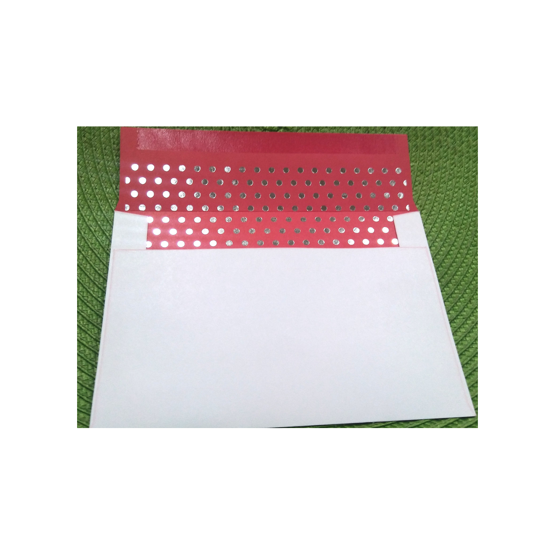 SANTA IN SLEIGH BOXED GREETING CARDS