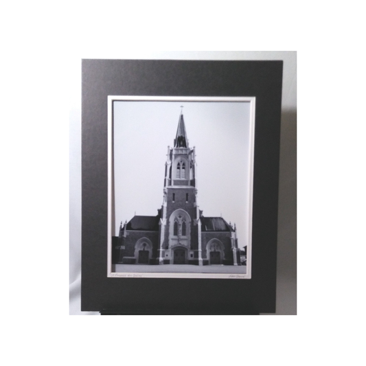 ST. FRANCIS DE SALES CATHEDRAL