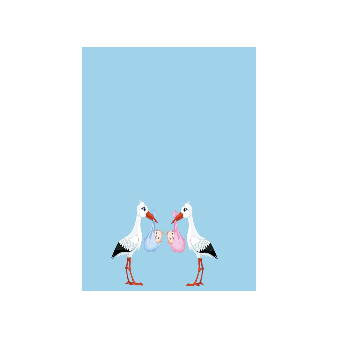 TWIN STORKS CUSTOM INVITATION