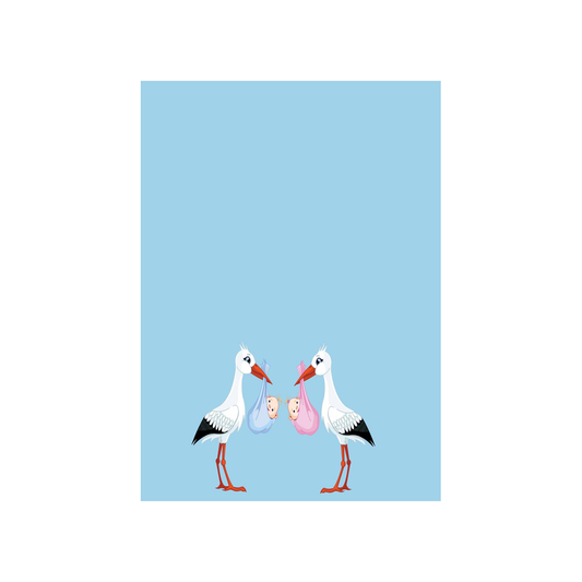 TWIN STORKS CUSTOM INVITATION