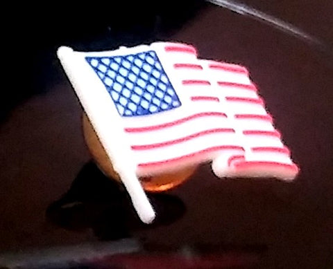 U.S. FLAG PIN