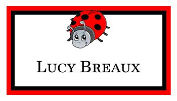 CUTE LADYBUG PERSONALIZED GIFT OR CALLING CARDS